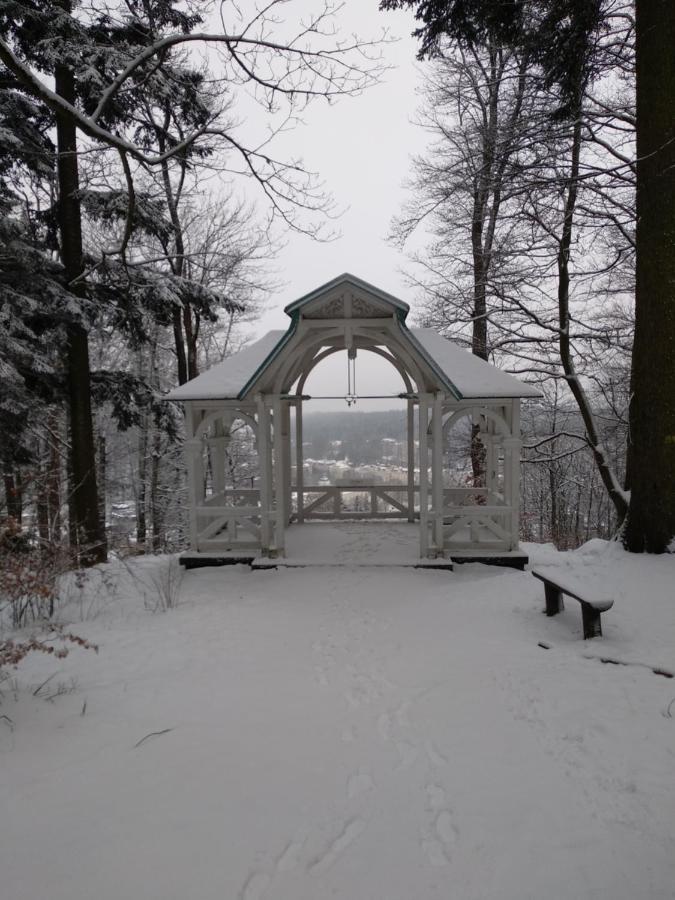 Apartman Friedrichsruh Appartement Mariënbad Buitenkant foto