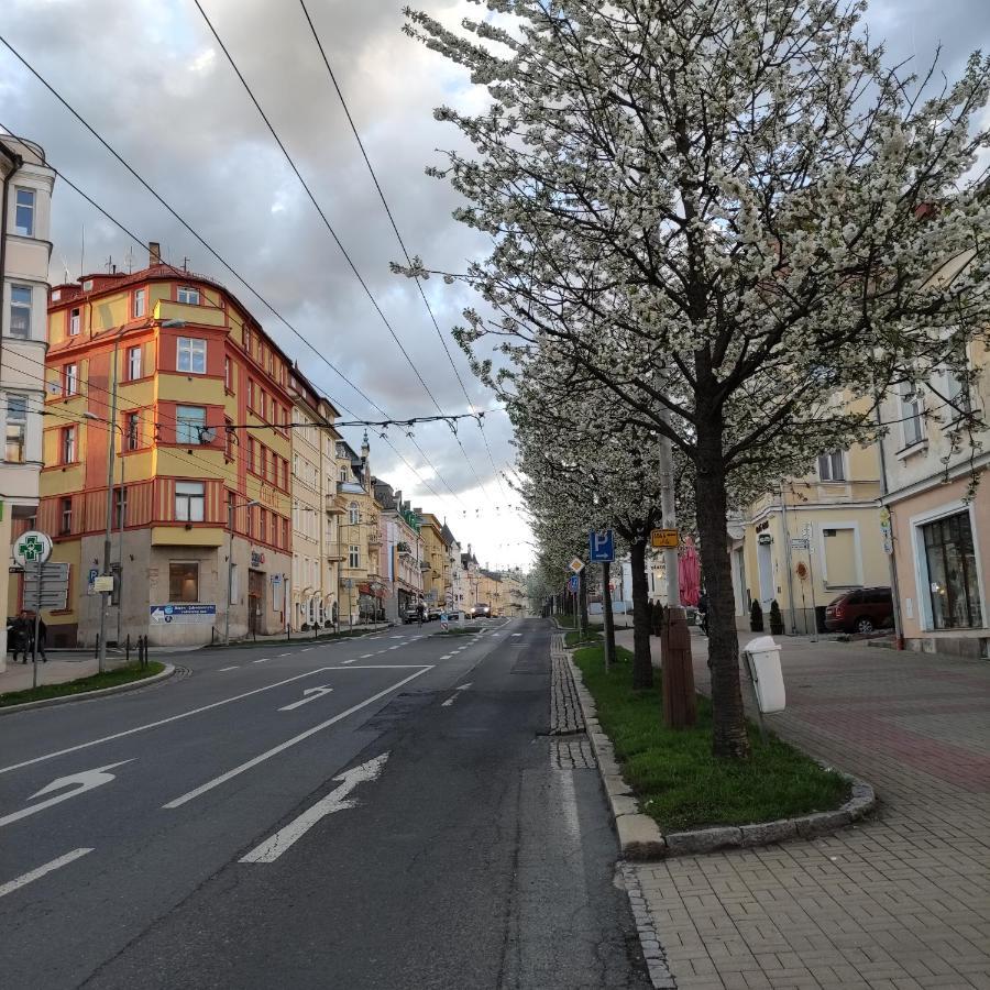 Apartman Friedrichsruh Appartement Mariënbad Buitenkant foto