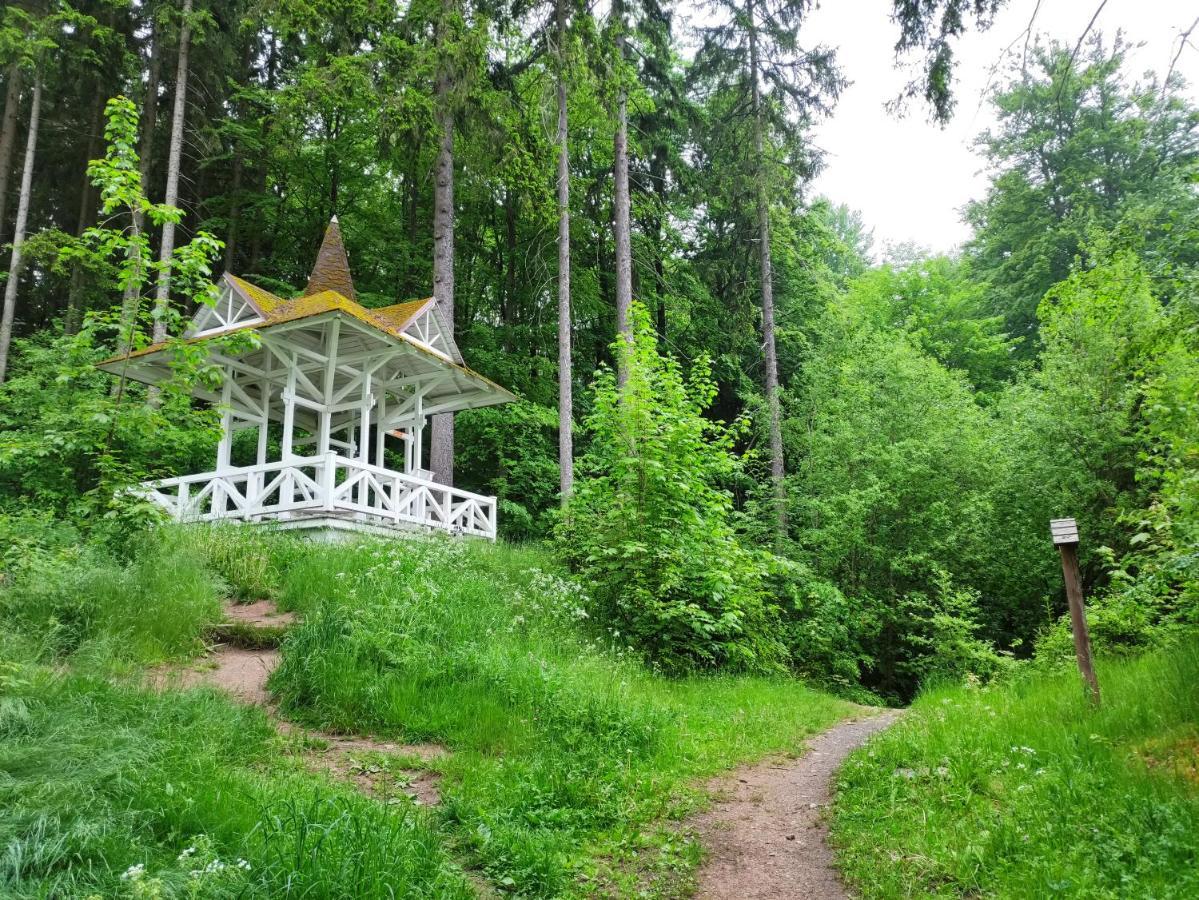 Apartman Friedrichsruh Appartement Mariënbad Buitenkant foto