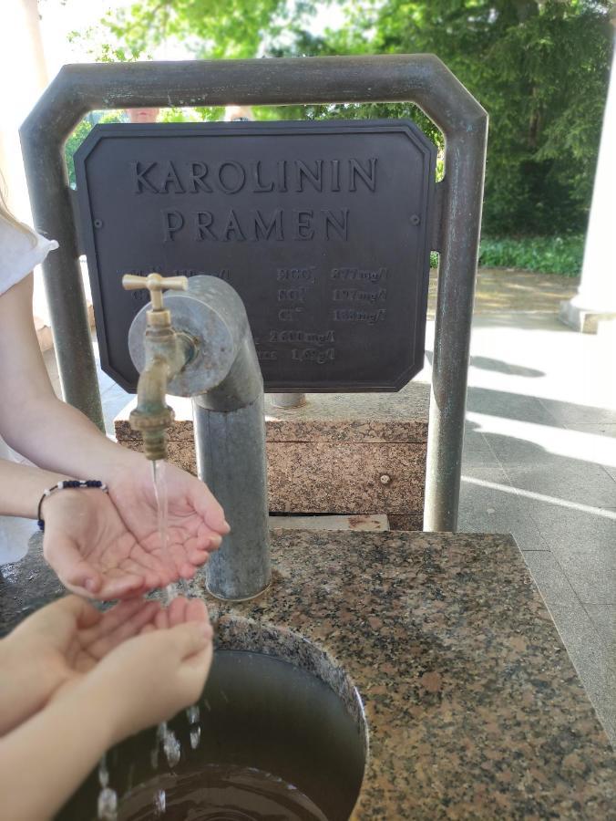 Apartman Friedrichsruh Appartement Mariënbad Buitenkant foto